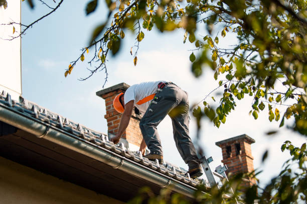 Best Metal Roofing Contractor  in Keego Harbor, MI